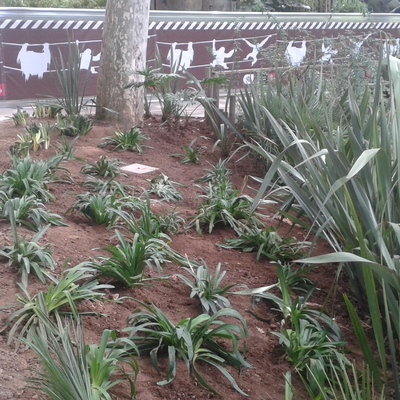 Parterre 