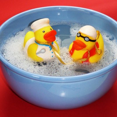 Patos de agua