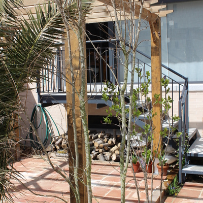 PÉRGOLA