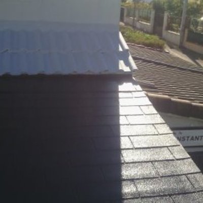 Limpieza de tejado de chalet en Alberite