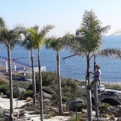 Jardines