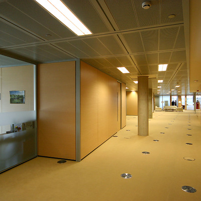 Proyecto Endesa