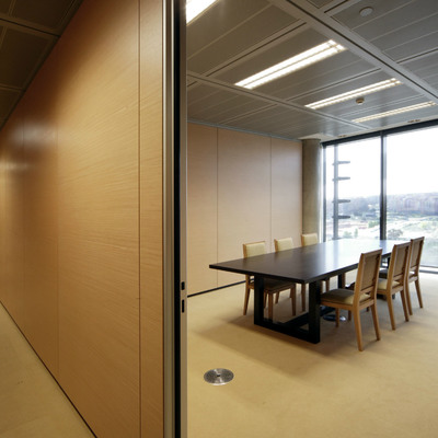 Proyecto Endesa