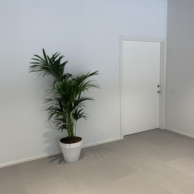 PUERTAS LACADAS CORREDERAS