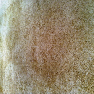 Recibidor