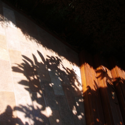reforma jardin