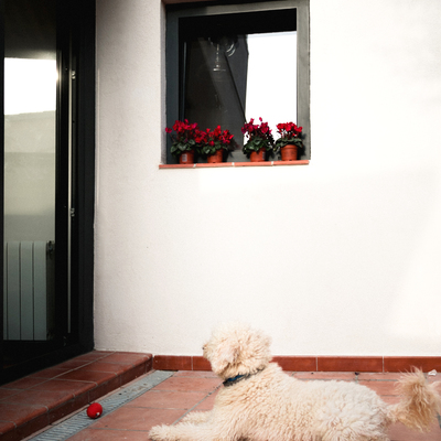 Proyecto & reforma integral vivienda unifamiliar