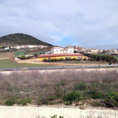 Trujal