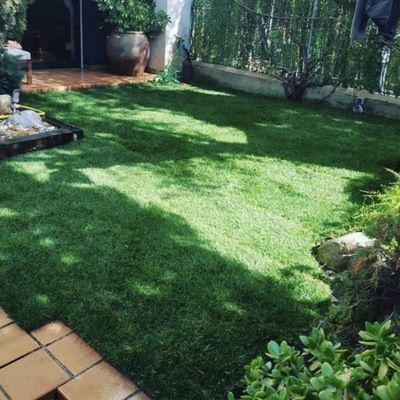 Renovación pequeño jardín de entrada