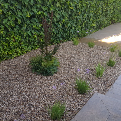 Diseño y construcción de jardín particular en Fuencarral