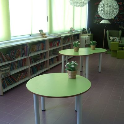 Zona Lectura + Consulta