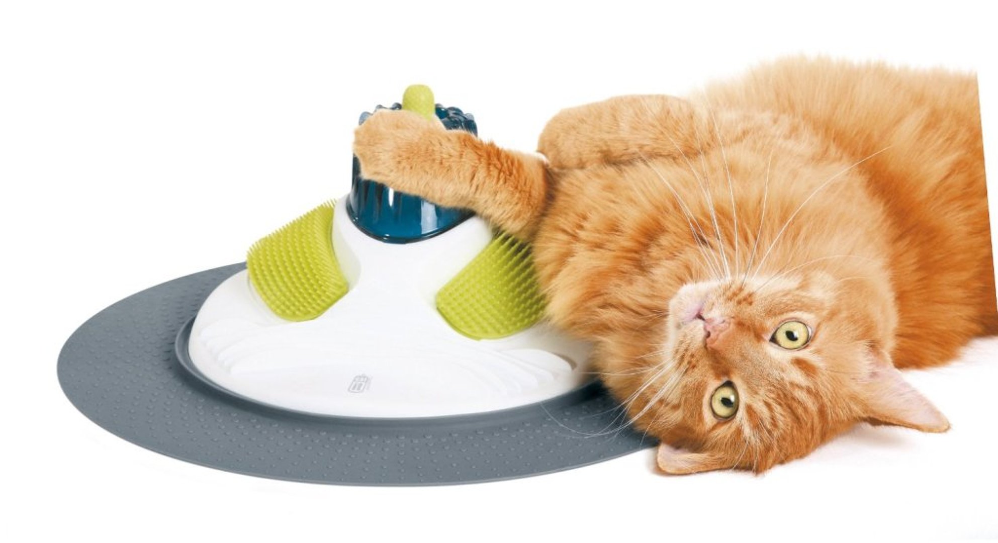 18 Locuras para Mascotas Ideas Topógrafos