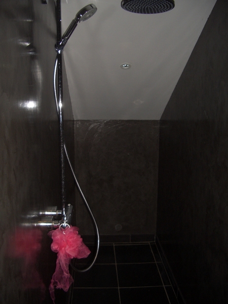 Ducha del baño principal