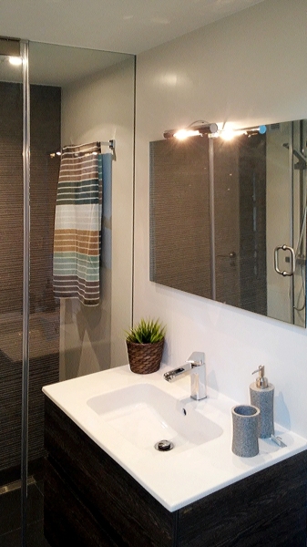 El baño 1