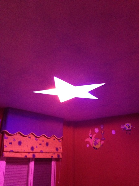 Foto Estrella Invitada de Mejoralia 928011 Habitissimo