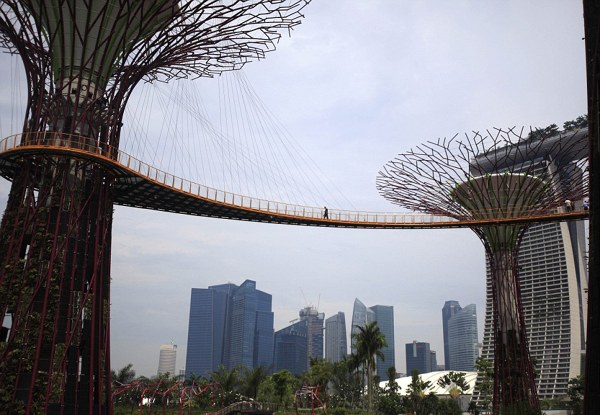 hombre-en-el-puente-de-garden-by-the-bay