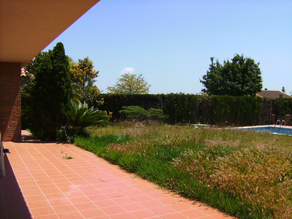 Jardín abandonado