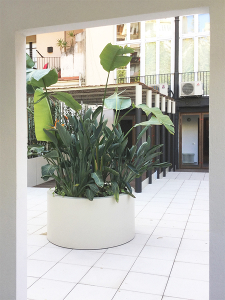Jardinera principal
