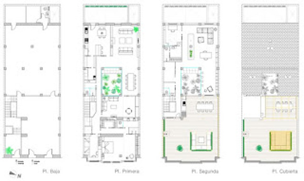 Foto: Plantas Nueva Distribución de Q-interior #864566 - Habitissimo