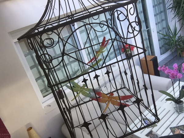 Invernaderos Adosados A Viviendas