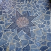 Rosa de los Vientos