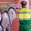 Servicios de limpieza