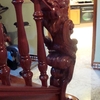 Escalera Metamorfosis