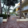 Pavimentacion y Piscina En Catelldefels