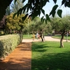 Tarimas De Maternidad De Barcelona