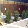 Jardí a Barcelona. Caràcter bohemi