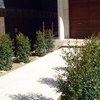 Jardí a Barcelona. Caràcter bohemi