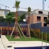 Jardí a Barcelona. Caràcter bohemi