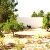 Vivienda Unifamiliar en Ibiza