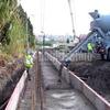 Parque forestal 3 jardines