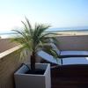 Remodelación de Terraza