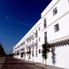 59 VPO en Utrera (Sevilla) - Vimpyca EBC