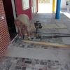 Adecuacion local nuevo para centro de estetica