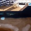 AISLAMIENTO Y DECORACION EN VELERO