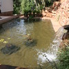 Alberca de filtracion ecológica