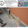 Alcossebre Village. Dictamen Pericial. Escalera 3. Comprobación material agarre.