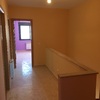 Alisado y pintura crema 1