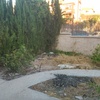 Antes