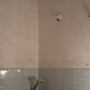 antes