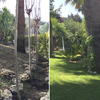 Antes y Despues 3