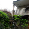 Antes