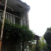 Antes