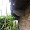 Antes