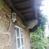 Antes