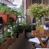 Balcón con jardineras colgadas