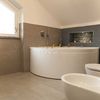 bañera riñón